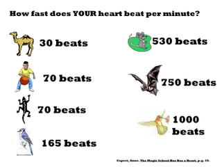 How fast does YOUR heart beat per minute? 30 beats 70 beats 70 beats 165 beats 530 beats 750 beats 1000 beats Capeci, Anne.  The Magic School Bus Has a Heart,  p.g. 29. 
