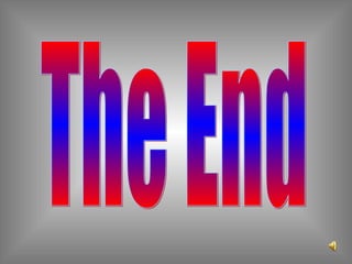 The End 