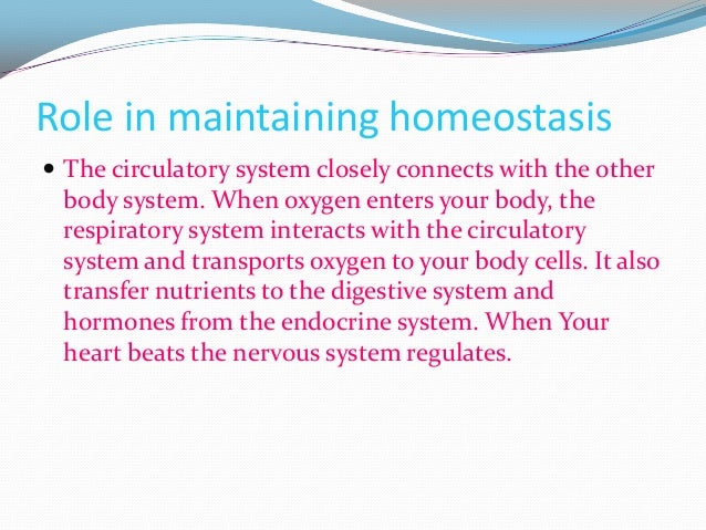 Circulatory system