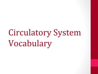 Circulatory System Vocabulary 