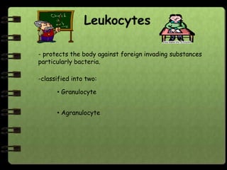 Leukocytes

- protects the body against foreign invading substances
particularly bacteria.

-classified into two:

      • Granulocyte


      • Agranulocyte
 