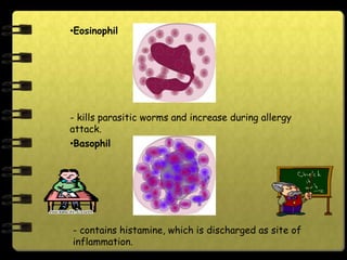 •Eosinophil




- kills parasitic worms and increase during allergy
attack.
•Basophil




- contains histamine, which is discharged as site of
inflammation.
 