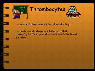 Thrombocytes

- smallest blood vessels for blood clotting.

 - contain and release a substance called
thromboplastin, a type of protein needed in blood
clotting.
 