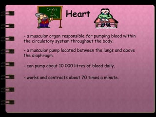 Heart

- a muscular organ responsible for pumping blood within
the circulatory system throughout the body.

- a muscular pump located between the lungs and above
the diaphragm.

- can pump about 10 000 litres of blood daily.

- works and contracts about 70 times a minute.
 