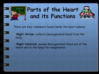 Parts of the Heart
           and its Functions
There are four chambers found inside the heart namely:

 •Right Atrium- collects deoxygenated blood from the
 body.

 •Right Ventricle- pumps deoxygenated blood out of the
 heart and to the lungs for oxygenation.
 