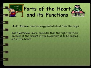 Parts of the Heart
           and its Functions

•Left Atrium- receives oxygenated blood from the lungs.

•Left Ventricle- more muscular than the right ventricle
because of the amount of the blood that is to be pushed
out of the heart.
 