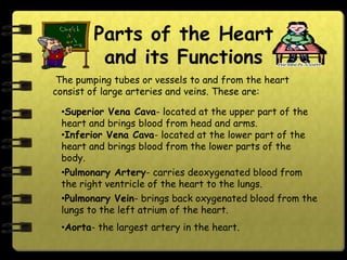 Parts of the Heart
         and its Functions
 The pumping tubes or vessels to and from the heart
consist of large arteries and veins. These are:

 •Superior Vena Cava- located at the upper part of the
 heart and brings blood from head and arms.
 •Inferior Vena Cava- located at the lower part of the
 heart and brings blood from the lower parts of the
 body.
 •Pulmonary Artery- carries deoxygenated blood from
 the right ventricle of the heart to the lungs.
 •Pulmonary Vein- brings back oxygenated blood from the
 lungs to the left atrium of the heart.
 •Aorta- the largest artery in the heart.
 