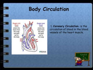 Body Circulation


         1. Coronary Circulation- is the
        circulation of blood in the blood
        vessels of the heart muscle.
 