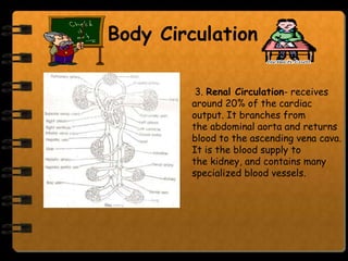 Body Circulation

         3. Renal Circulation- receives
        around 20% of the cardiac
        output. It branches from
        the abdominal aorta and returns
        blood to the ascending vena cava.
        It is the blood supply to
        the kidney, and contains many
        specialized blood vessels.
 