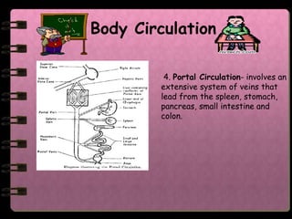Body Circulation

         4. Portal Circulation- involves an
        extensive system of veins that
        lead from the spleen, stomach,
        pancreas, small intestine and
        colon.
 