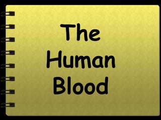 The
Human
Blood
 