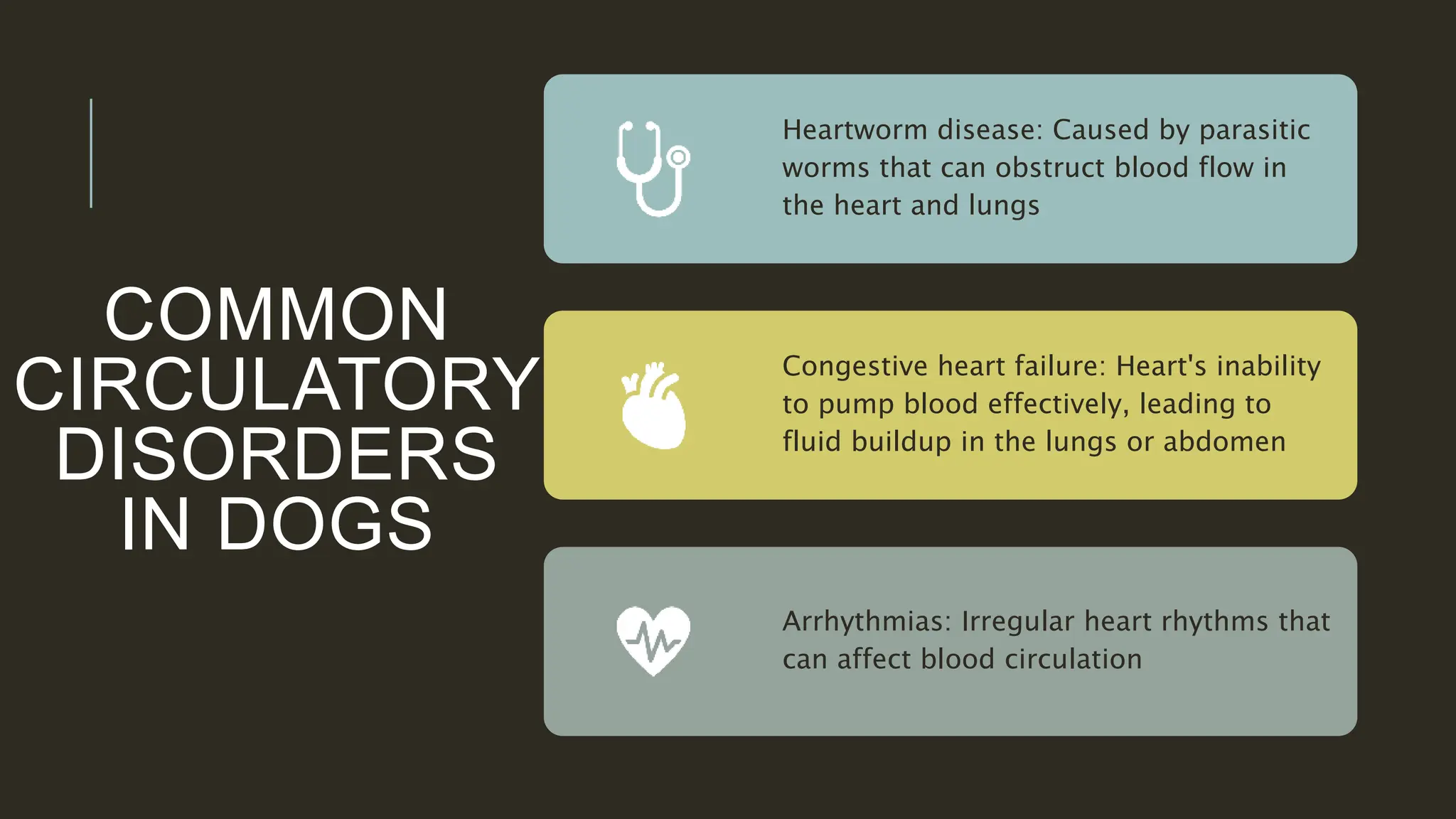 Image showcasing circulatory system in dog and how the circulatory system and its ...