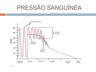 CirculatóRio Parte I I