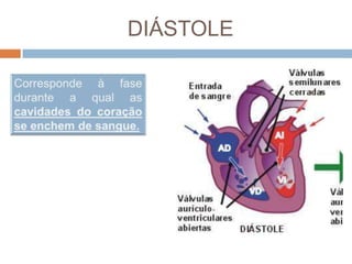 CirculatóRio Parte I I