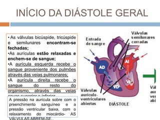 CirculatóRio Parte I I