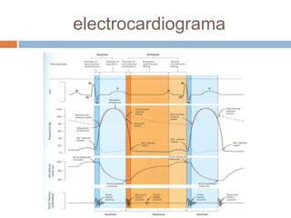 CirculatóRio Parte I I