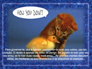 Para governar-te, usa a cabeça; para portar-te junto aos outros, usa teu
coração. O receio é apenas um aviso de perigo. Se alguém te trair uma vez,
ela errou; se te trair duas vezes, você errou... As grandes mentes discutem
idéias, as medianas os acontecimentos e as pequenas as pessoas...

 