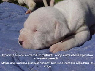 O ontem é história, o amanhã um mistério! E o hoje é uma dádiva e por isto o
chamamos presente...
Mostra a teus amigos quanto os queres! Envia isto a todos que consideras um
amigo!

 