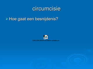circumcisie ,[object Object]