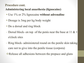 Procedure cont.
Administering local anaethesia (lignocaine)
 Use 1% or 2% lignocaine without adrenaline
 Dosage is 3mg per kg body weight
 Do a dorsal and ring block
- Dorsal block- on top of the penis near the base at 11 & 1
o'clock sites
- Ring block- administered round on the penile skin taking
care not to give into the penile tissue (corpora)
Release all adhesions between the prepuce and glans
 