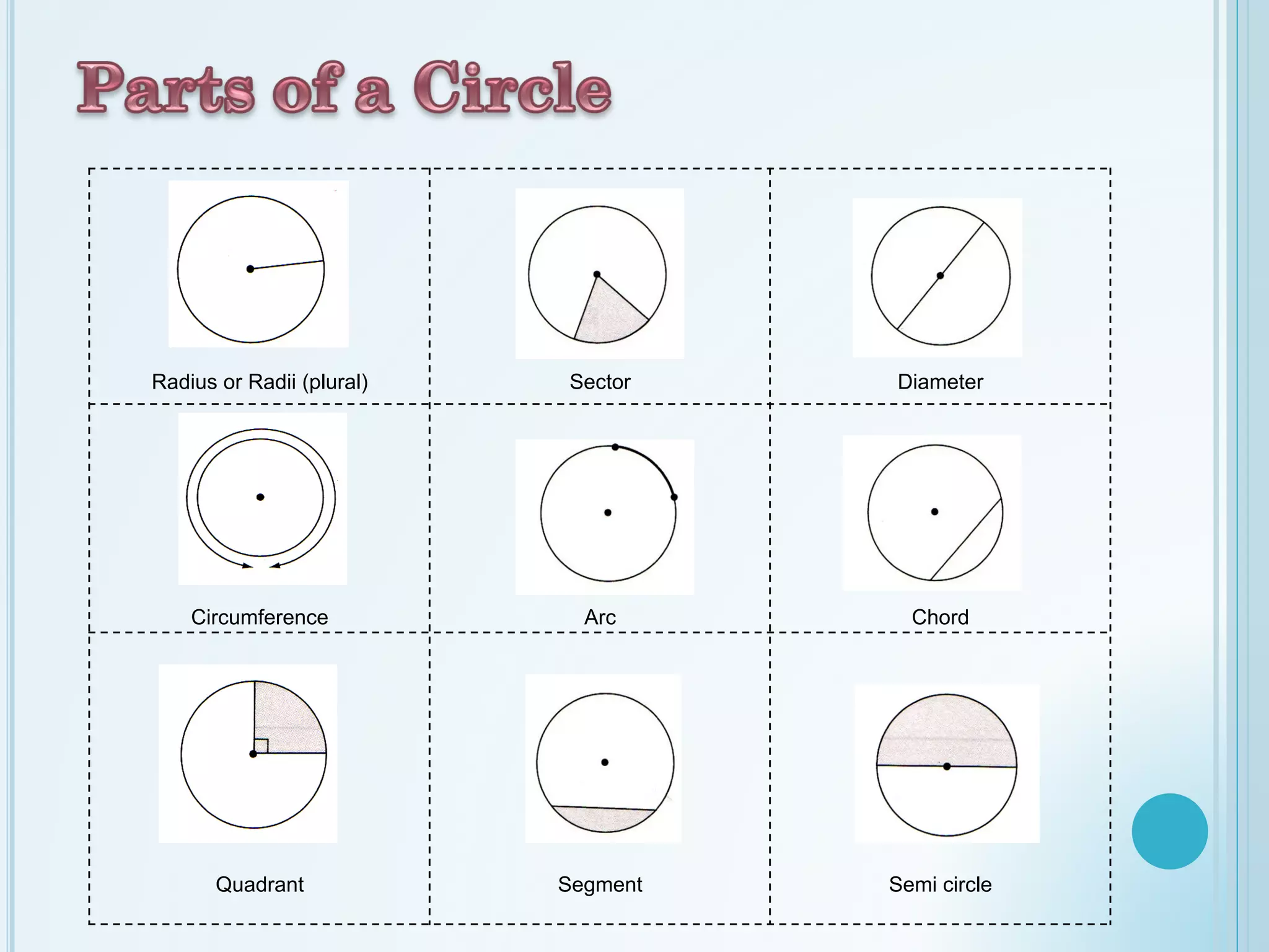 Radius or Radii (plural) Sector Diameter
Circumference Arc Chord
Quadrant Segment Semi circle