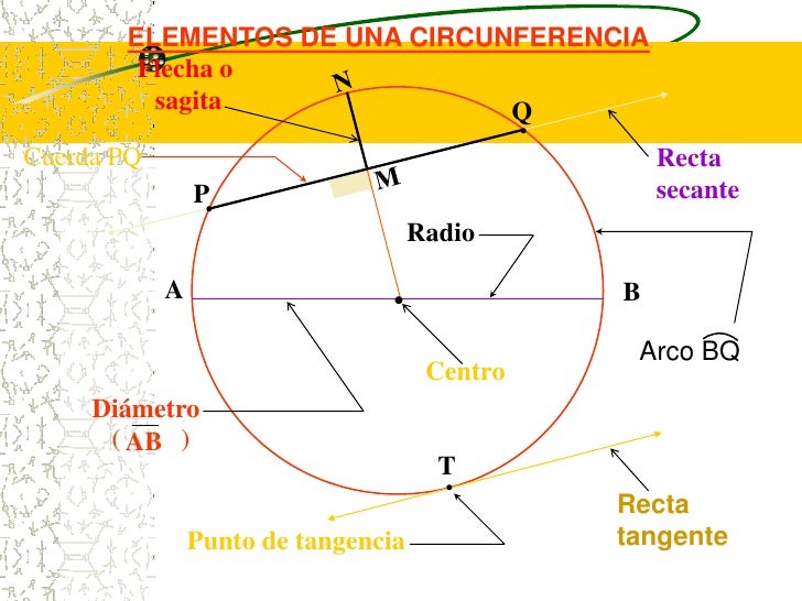 Circunferencia y sus elementos