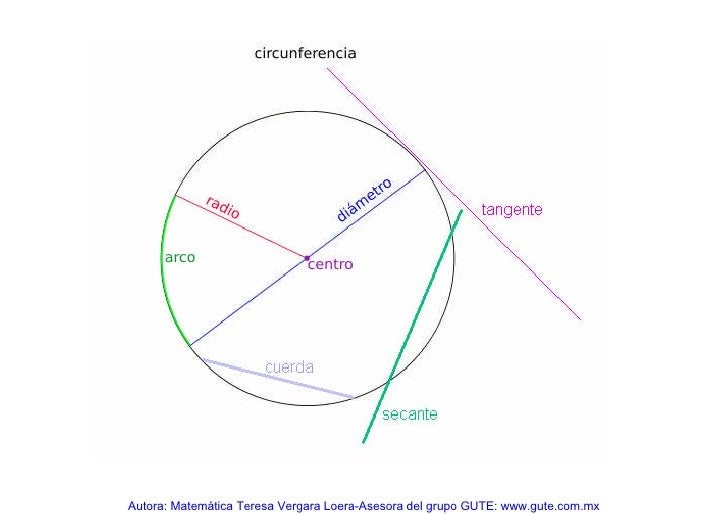 Circunferencia Componentes