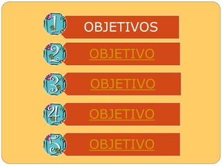 OBJETIVOS 
OBJETIVO 
OBJETIVO 
OBJETIVO 
OBJETIVO 
 