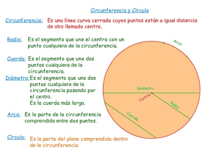 Circunferencia y circulo