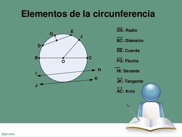 Circunferencia y circulo