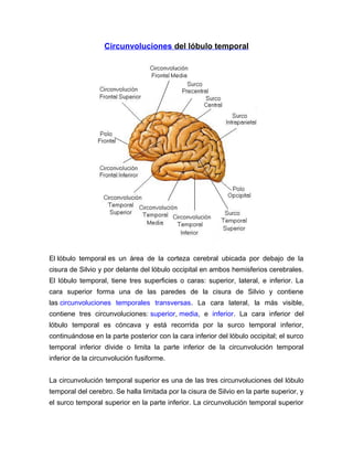 Circunvoluciones del lóbulo temporal
El lóbulo temporal es un área de la corteza cerebral ubicada por debajo de la
cisura de Silvio y por delante del lóbulo occipital en ambos hemisferios cerebrales.
El lóbulo temporal, tiene tres superficies o caras: superior, lateral, e inferior. La
cara superior forma una de las paredes de la cisura de Silvio y contiene
las circunvoluciones temporales transversas. La cara lateral, la más visible,
contiene tres circunvoluciones: superior, media, e inferior. La cara inferior del
lóbulo temporal es cóncava y está recorrida por la surco temporal inferior,
continuándose en la parte posterior con la cara inferior del lóbulo occipital; el surco
temporal inferior divide o limita la parte inferior de la circunvolución temporal
inferior de la circunvolución fusiforme.
La circunvolución temporal superior es una de las tres circunvoluciones del lóbulo
temporal del cerebro. Se halla limitada por la cisura de Silvio en la parte superior, y
el surco temporal superior en la parte inferior. La circunvolución temporal superior
 
