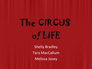 The CIRCUS  of LIFE Shelly Bradley Tara MacCallum Melissa Josey 