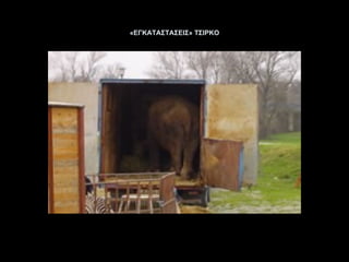 «ΕΓΚΑΤΑΣΤΑΣΕΙΣ» ΤΣΙΡΚΟ 