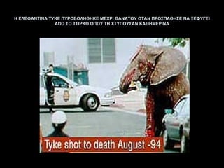 Η ΕΛΕΦΑΝΤΙΝΑ  TYKE  ΠΥΡΟΒΟΛΗΘΗΚΕ ΜΕΧΡΙ ΘΑΝΑΤΟΥ ΟΤΑΝ ΠΡΟΣΠΑΘΗΣΕ ΝΑ ΞΕΦΥΓΕΙ ΑΠΟ ΤΟ ΤΣΙΡΚΟ ΟΠΟΥ ΤΗ ΧΤΥΠΟΥΣΑΝ ΚΑΘΗΜΕΡΙΝΑ 