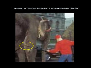ΤΡΥΠΩΝΤΑΣ ΤΑ ΠΟΔΙΑ ΤΟΥ ΕΛΕΦΑΝΤΑ ΓΙΑ ΝΑ ΠΡΟΧΩΡΑΕΙ ΓΡΗΓΟΡΟΤΕΡΑ 