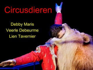 Circusdieren Debby Maris Veerle Debeurme Lien Tavernier 
