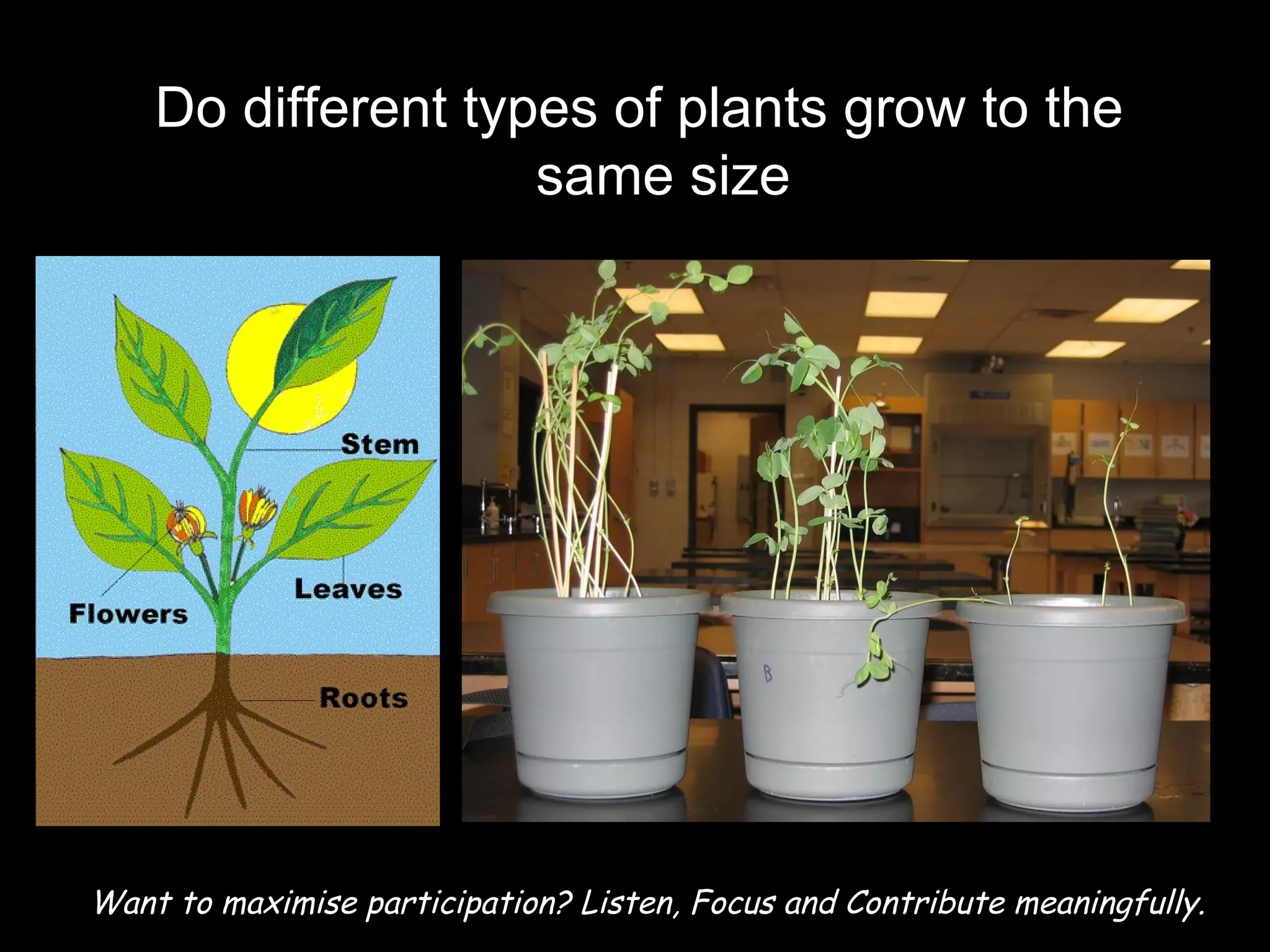 Variables Plant Example DEPENDENT & INDEPENDENT VARIABLES | PPT