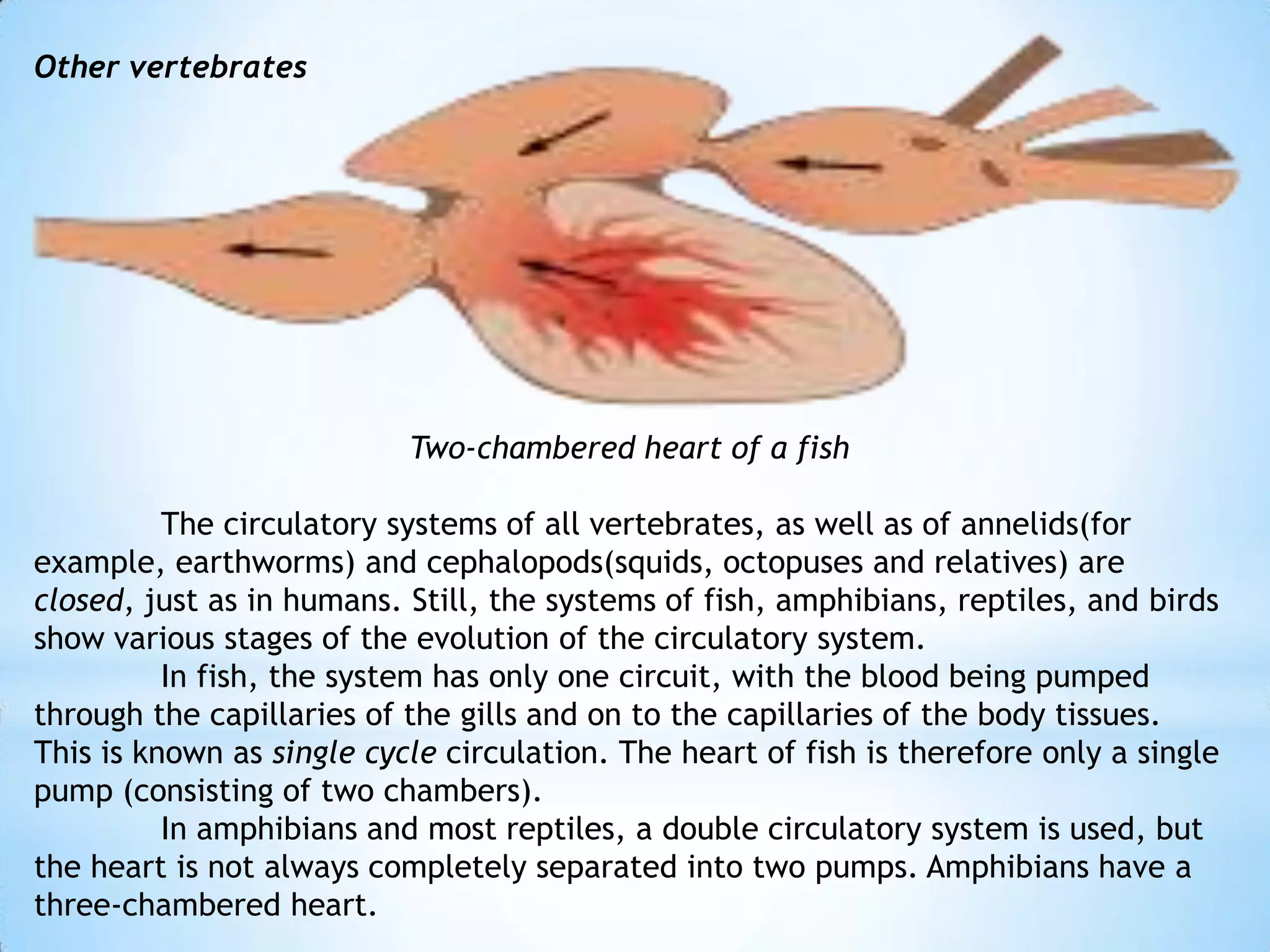 Evolution Circulation Circusystem | PPTX