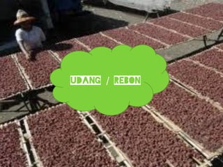 UDAng / REBON
 