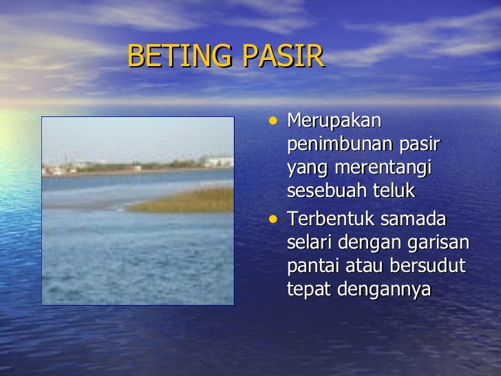 Ciri Ciri Bentuk Muka Bumi Pinggir Laut