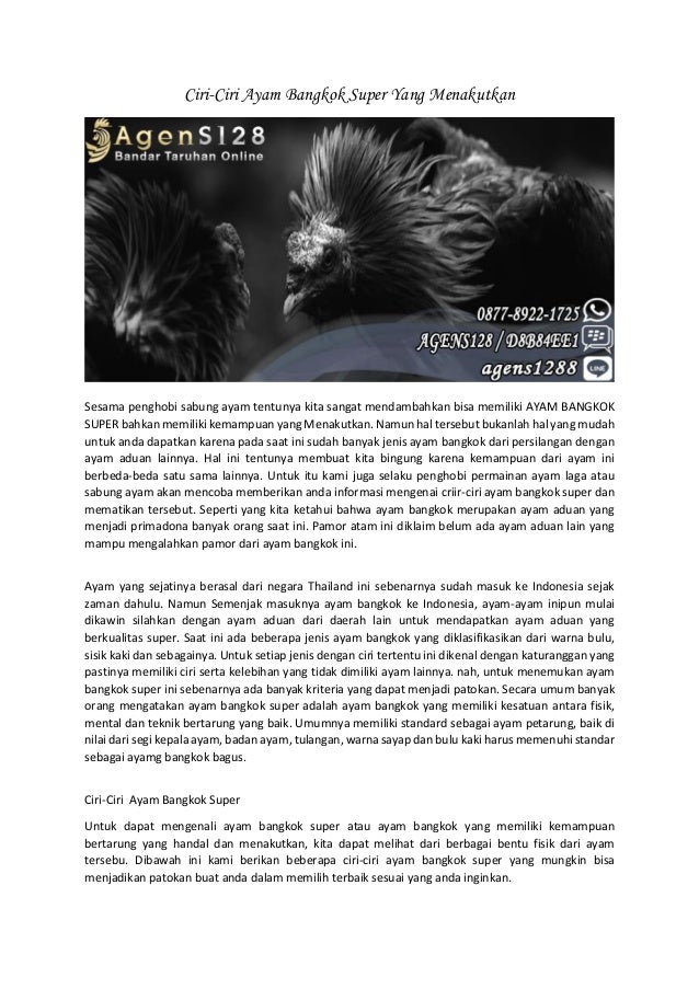 28+ Ciri Kepala Ayam Bangkok Pembunuh Background