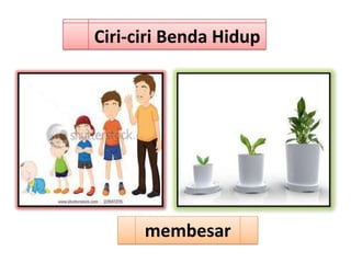 Ciri-ciri Benda Hidup




      membesar
 