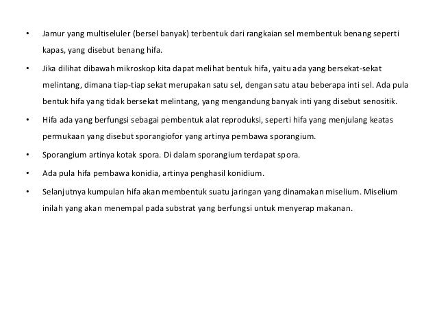 Ciri Ciri Fungi Jamur