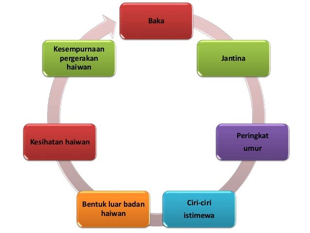 Kenali Kambing Gurun Di Malaysia Portal Info Pertanian No 1 Ciri Ciri Haiwan Yang Hidup Di Tropika