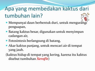 Ciri ciri khusus tumbuhan