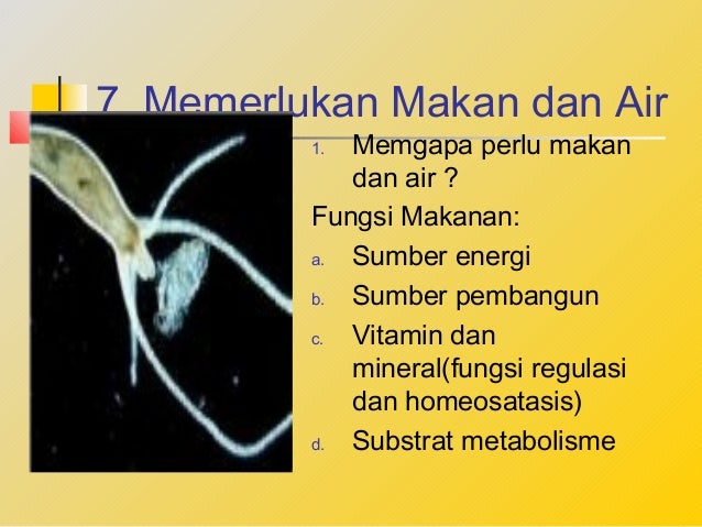 Ciri ciri mahluk hidup