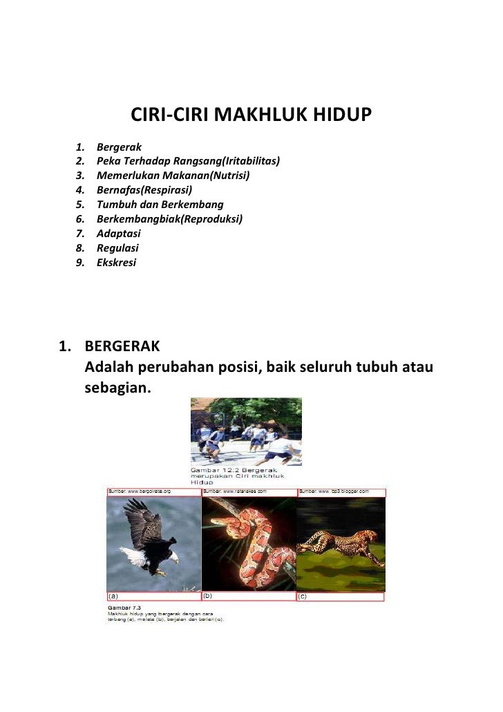 Ciri ciri makhluk hidup