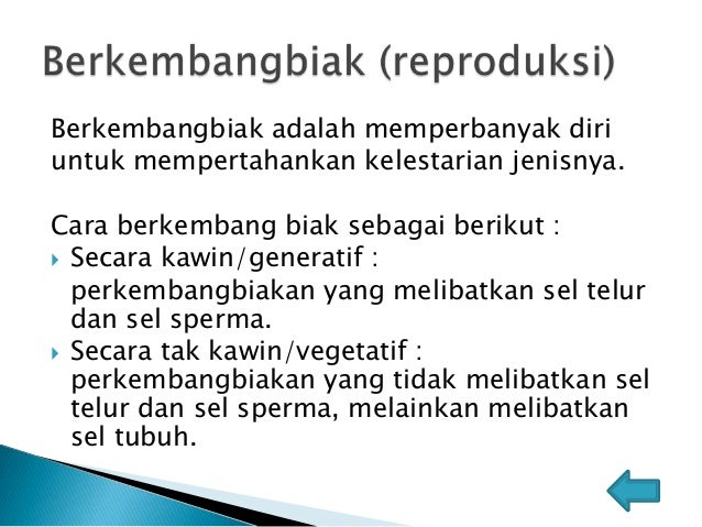 Ciri ciri makhluk hidup Ciri ciri makhluk hidup