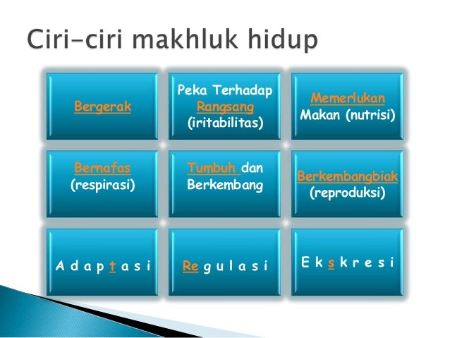 Ciri ciri makhluk hidup