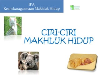 Ciri Ciri Makhluk Hidup Ciri Ciri Makhluk Hidup